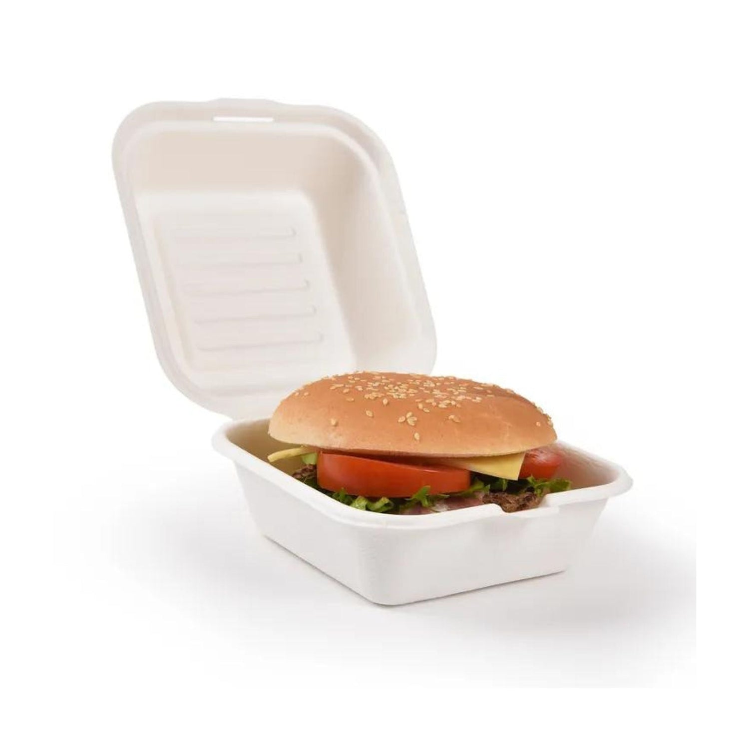 Bagasse boxes, trays and plates